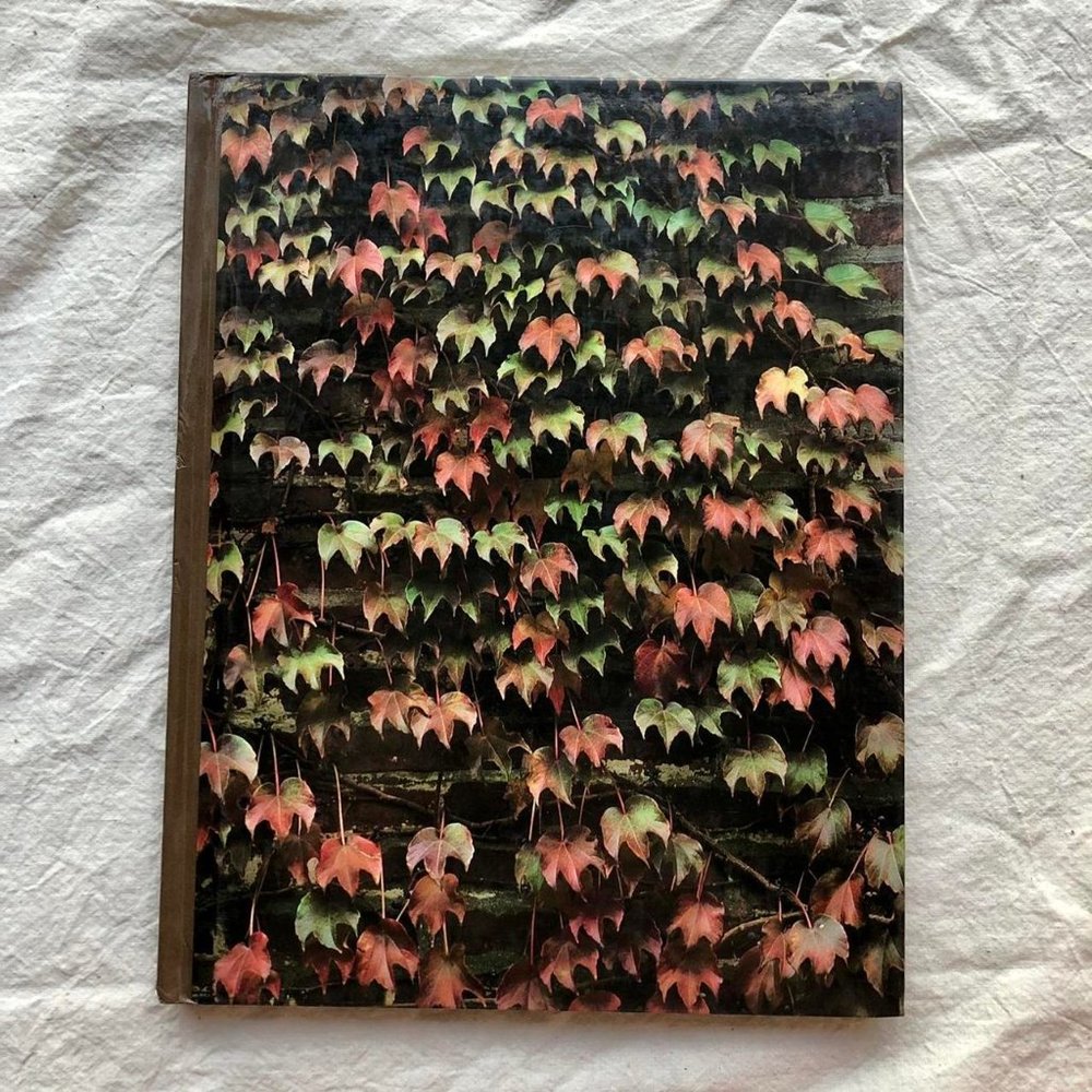 vines, time-life encyclopedia of gardening book